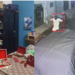 गुडंबा में सेवानिवृत्त शिक्षक के घर से 42 लाख की चोरी, सीसीटीवी में दीवार फांदता दिखा चोर