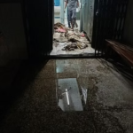 बारिश से एफएसडीए ऑफिस में रिकॉर्ड बर्बाद, ज्यादातर फाइलें सड़कर हुई नष्ट