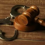 Lucknow High Court Grants Bail to Mohammad Sameer