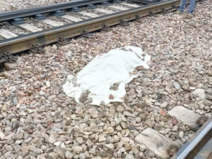 बुलंदशहर में शताब्दी एक्सप्रेस की चपेट में आने&hellip;