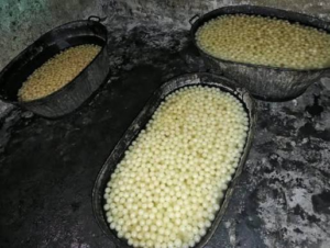 रक्षाबंधन से पहले मिठाई फैक्ट्री पर छापा, कीड़ों&hellip;